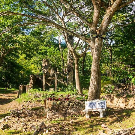 Martinique Treehouse Villa Canton Suisse Kültér fotó