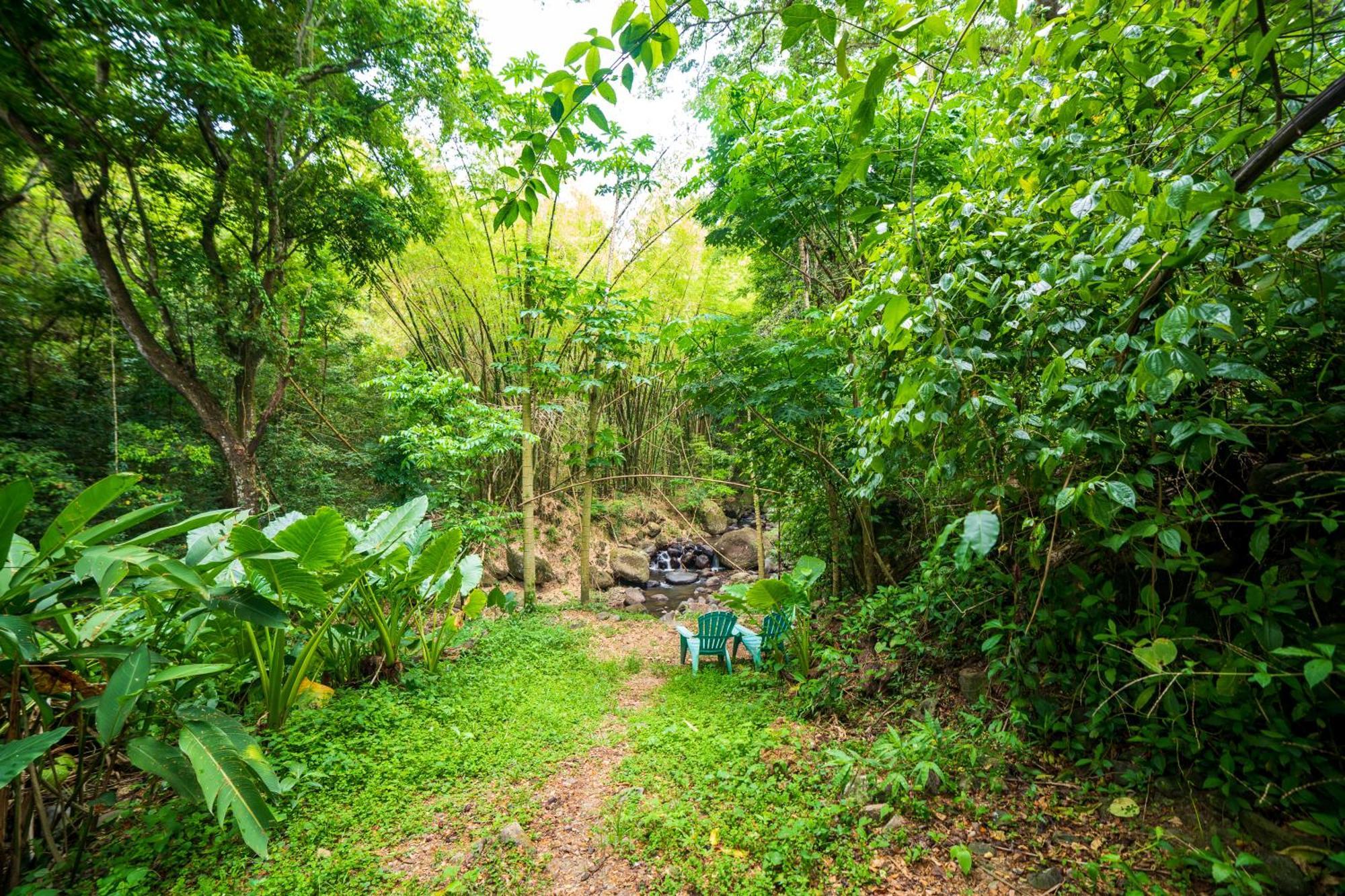 Martinique Treehouse Villa Canton Suisse Kültér fotó