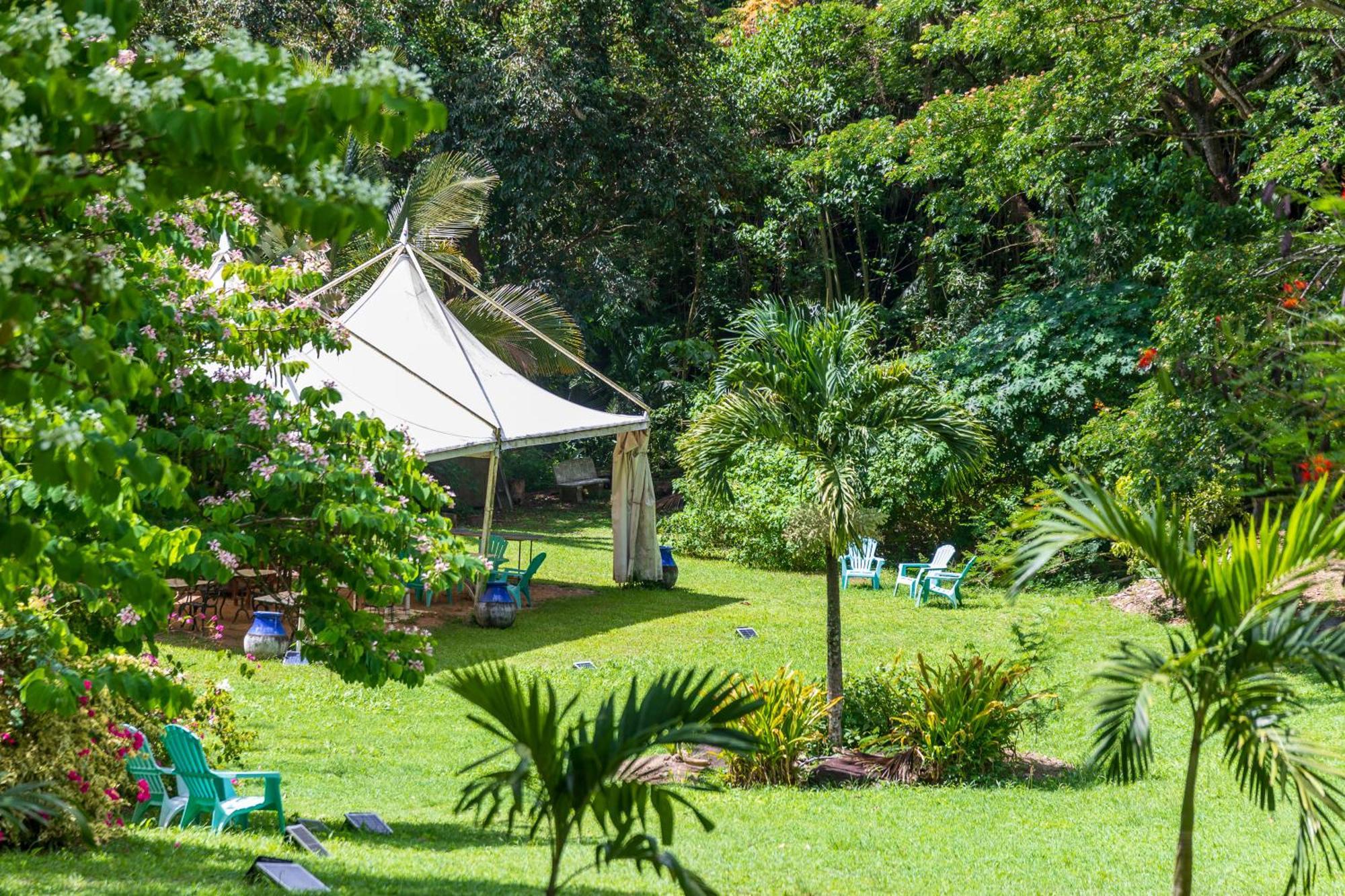 Martinique Treehouse Villa Canton Suisse Kültér fotó