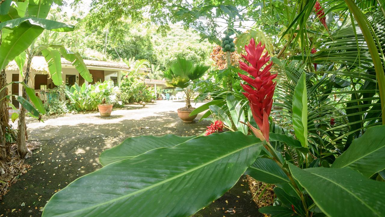 Martinique Treehouse Villa Canton Suisse Kültér fotó