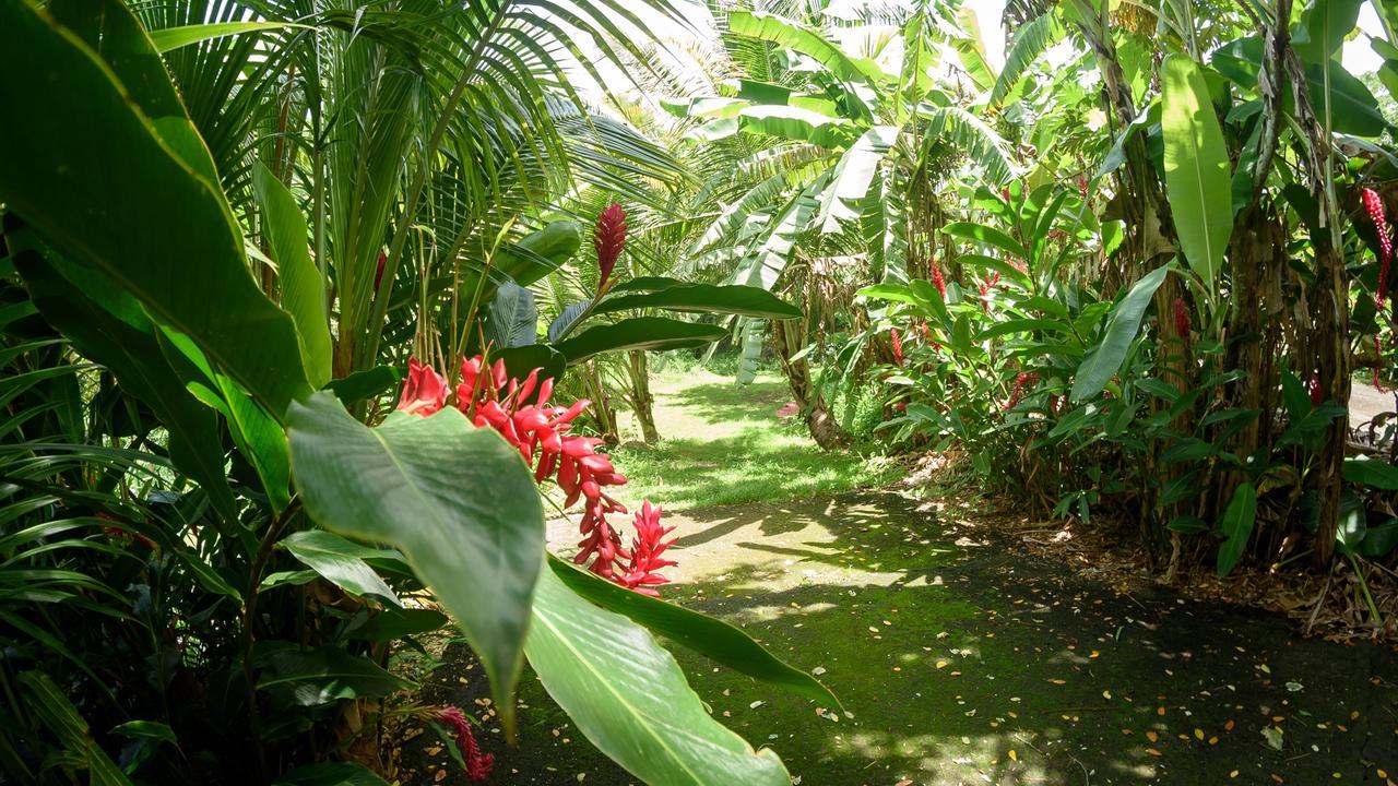 Martinique Treehouse Villa Canton Suisse Kültér fotó
