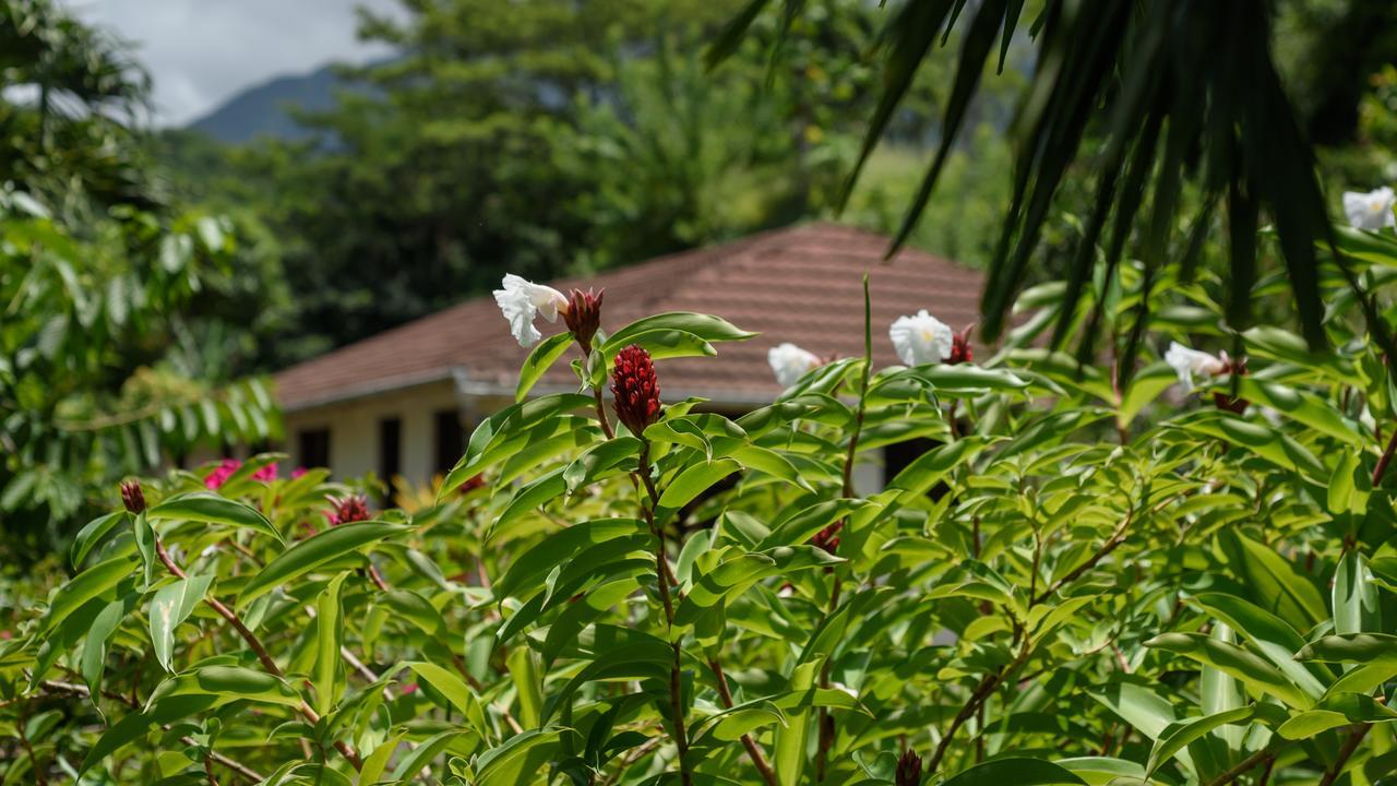 Martinique Treehouse Villa Canton Suisse Kültér fotó