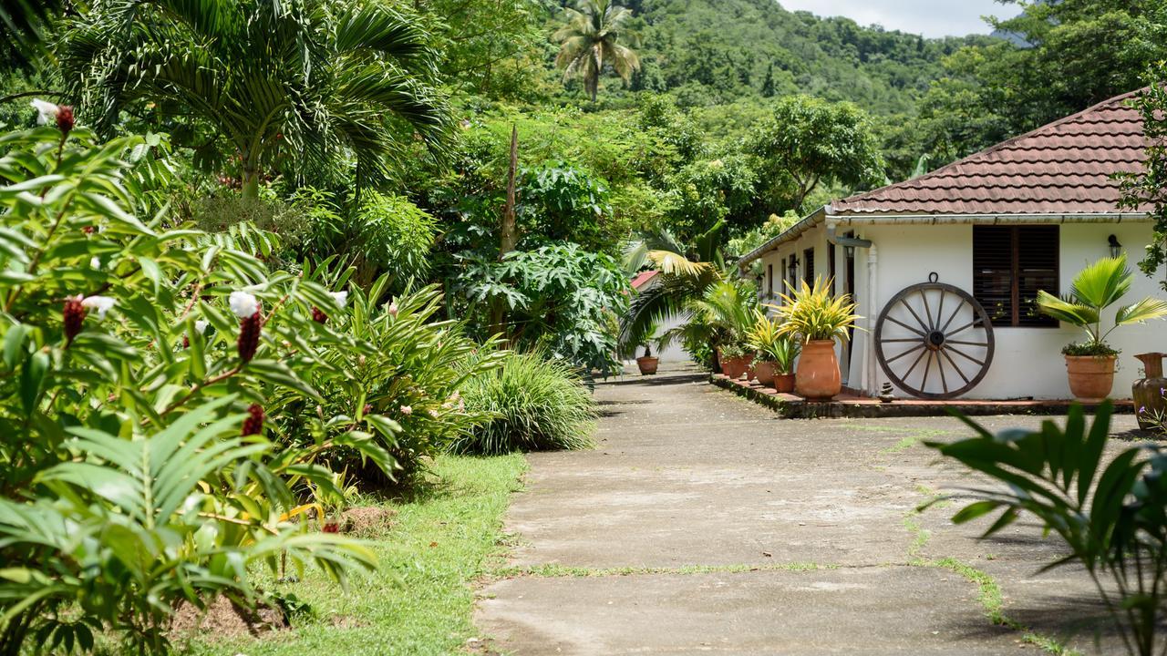 Martinique Treehouse Villa Canton Suisse Kültér fotó