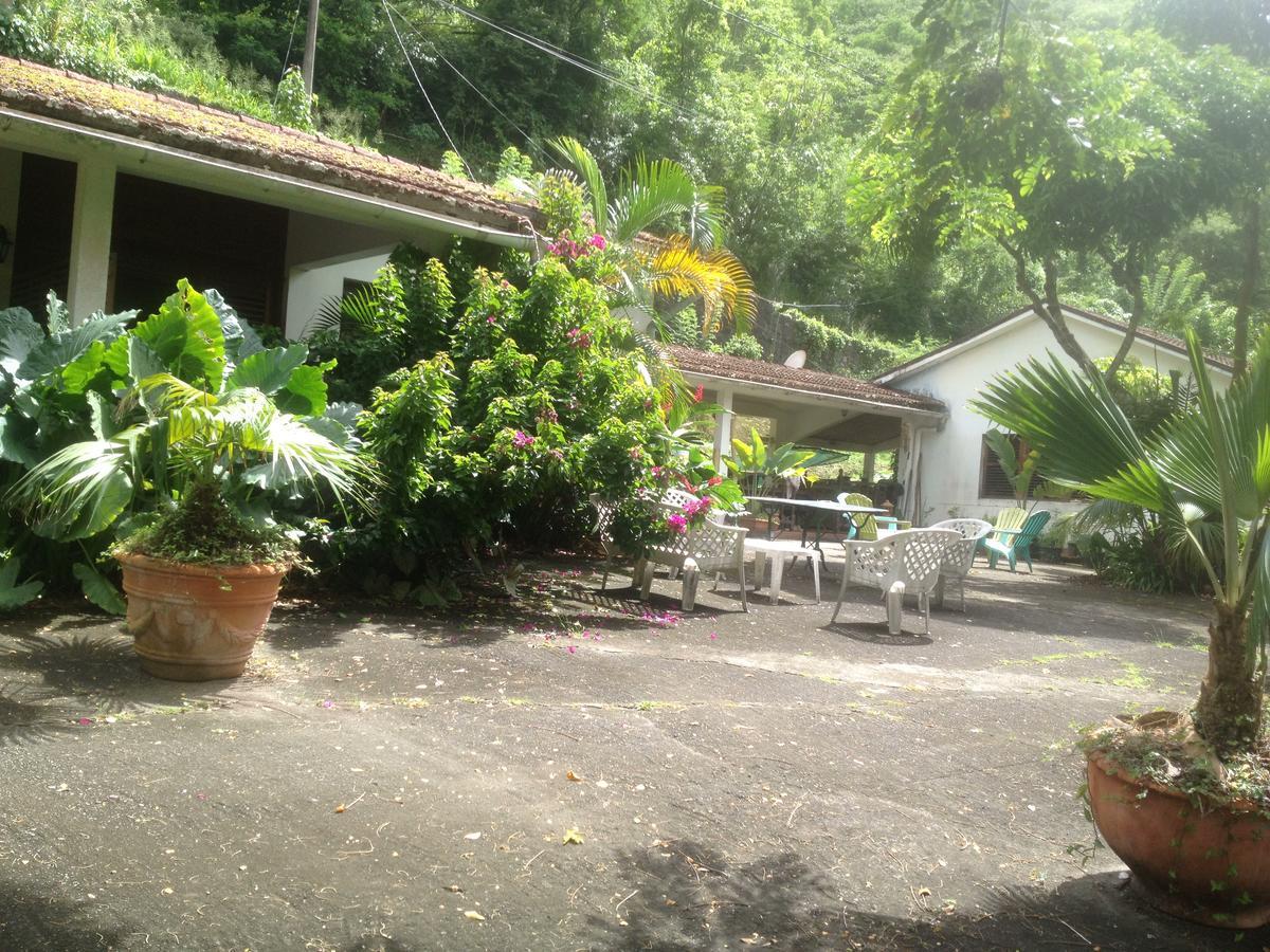 Martinique Treehouse Villa Canton Suisse Kültér fotó