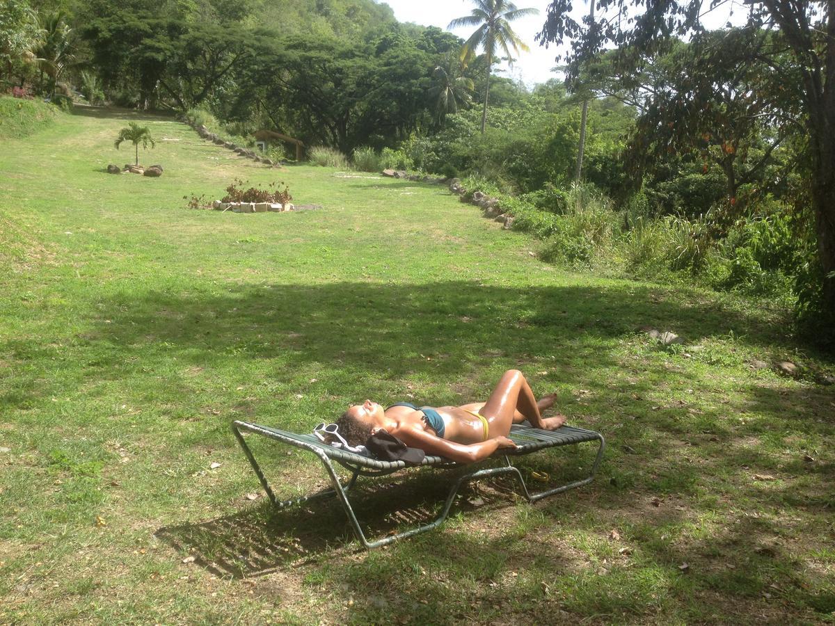 Martinique Treehouse Villa Canton Suisse Kültér fotó