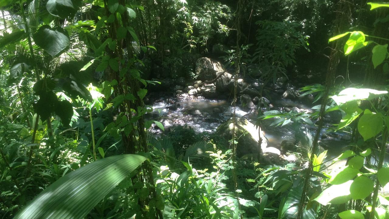 Martinique Treehouse Villa Canton Suisse Kültér fotó