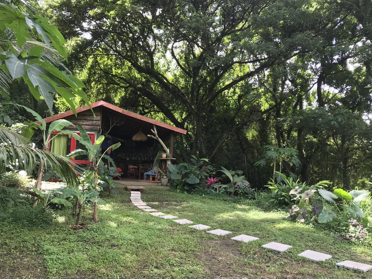 Martinique Treehouse Villa Canton Suisse Kültér fotó