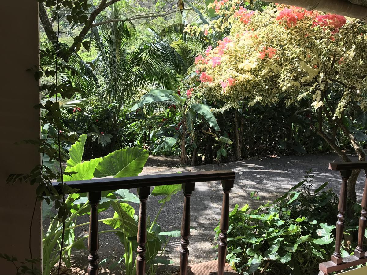 Martinique Treehouse Villa Canton Suisse Kültér fotó