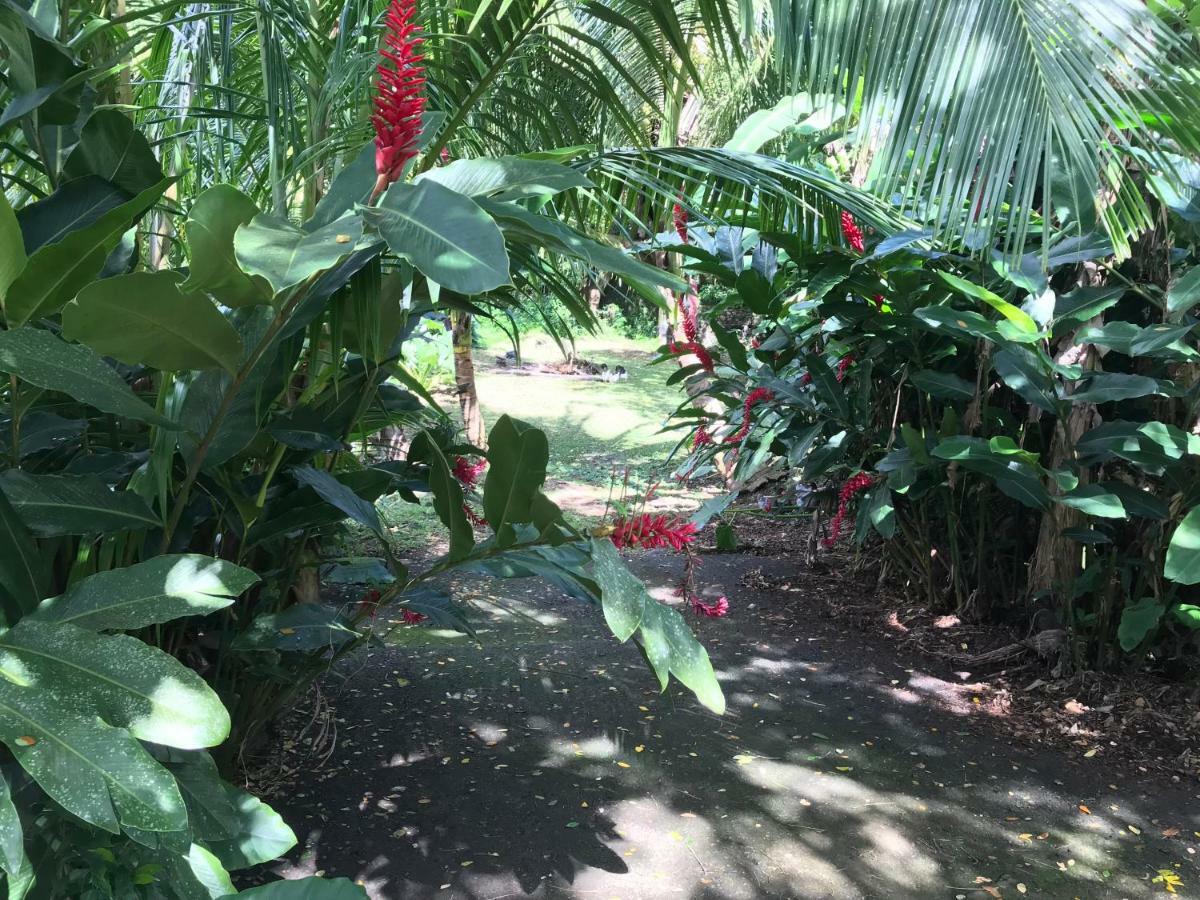 Martinique Treehouse Villa Canton Suisse Kültér fotó