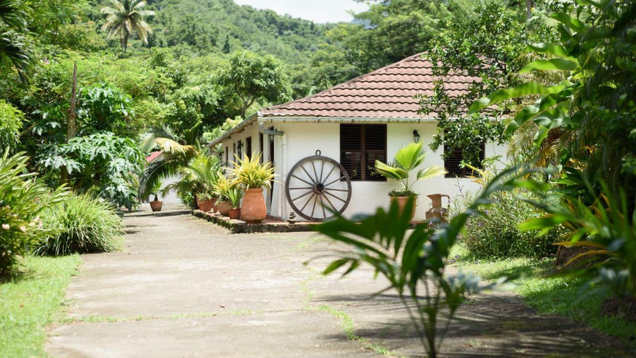Martinique Treehouse Villa Canton Suisse Kültér fotó